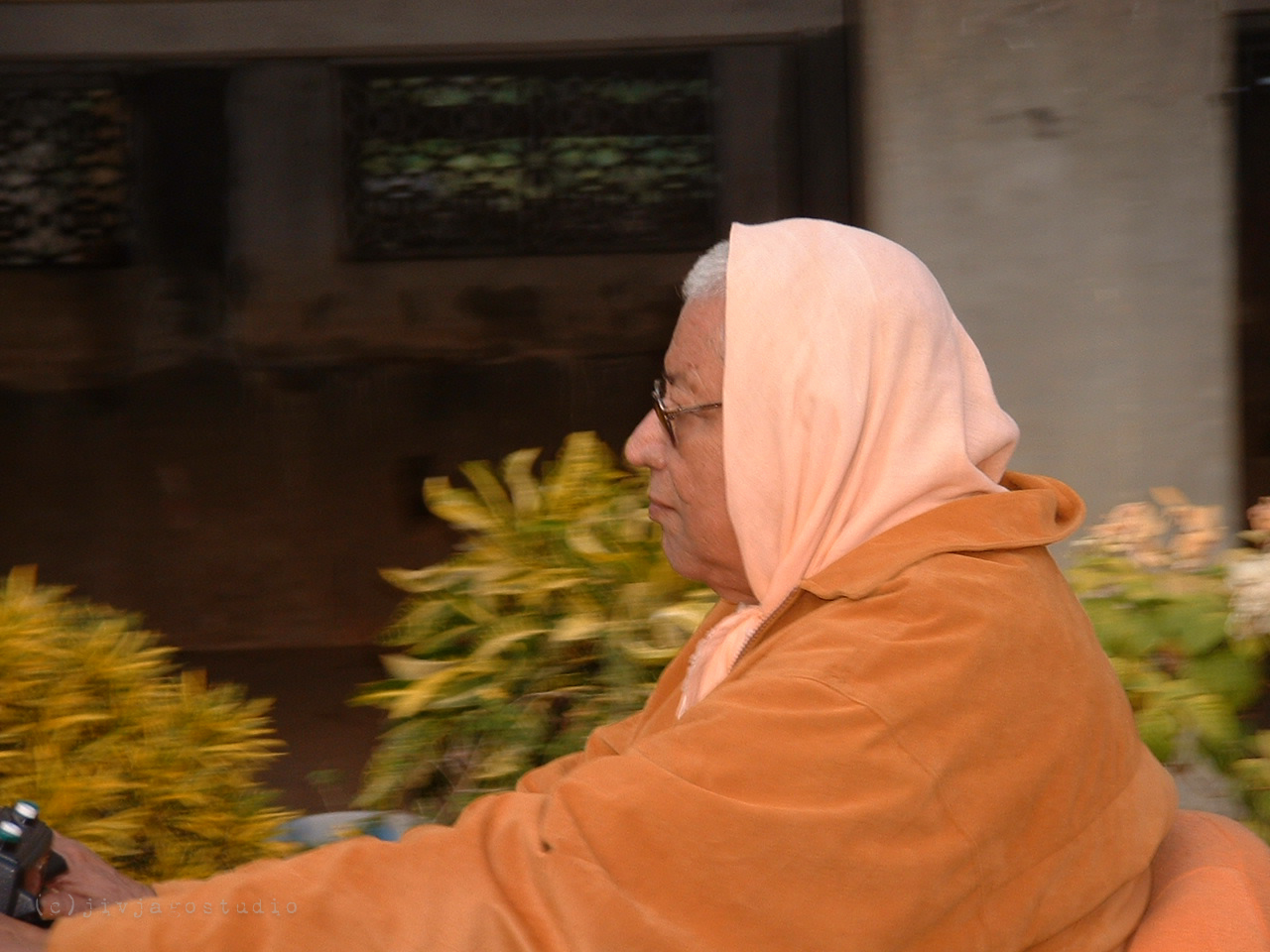 Кришна — наш единоличный владелец