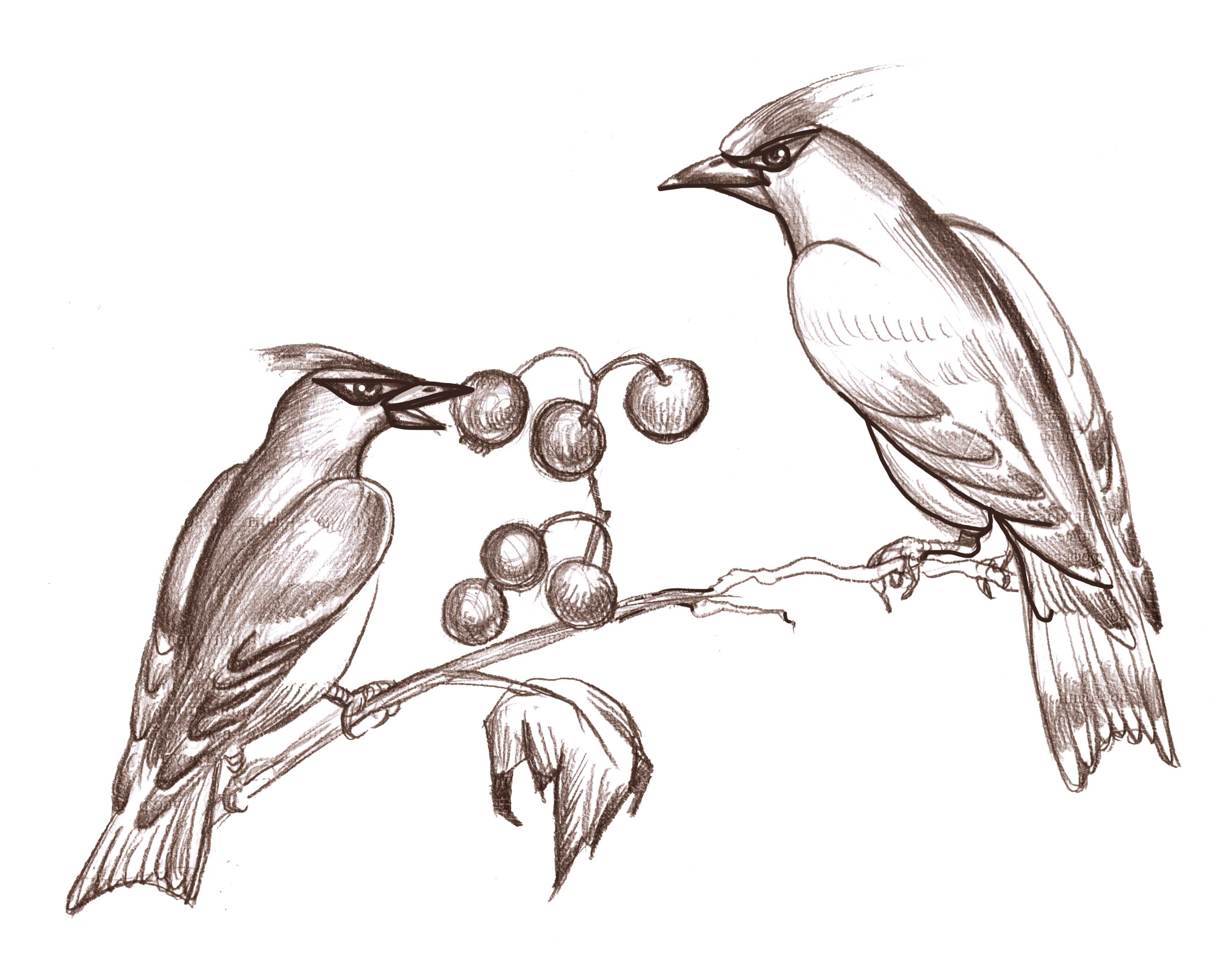 Природа Сверхдуши и души